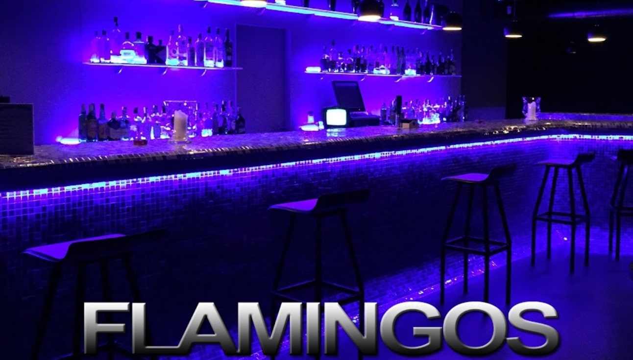 flamingos-club-valencia